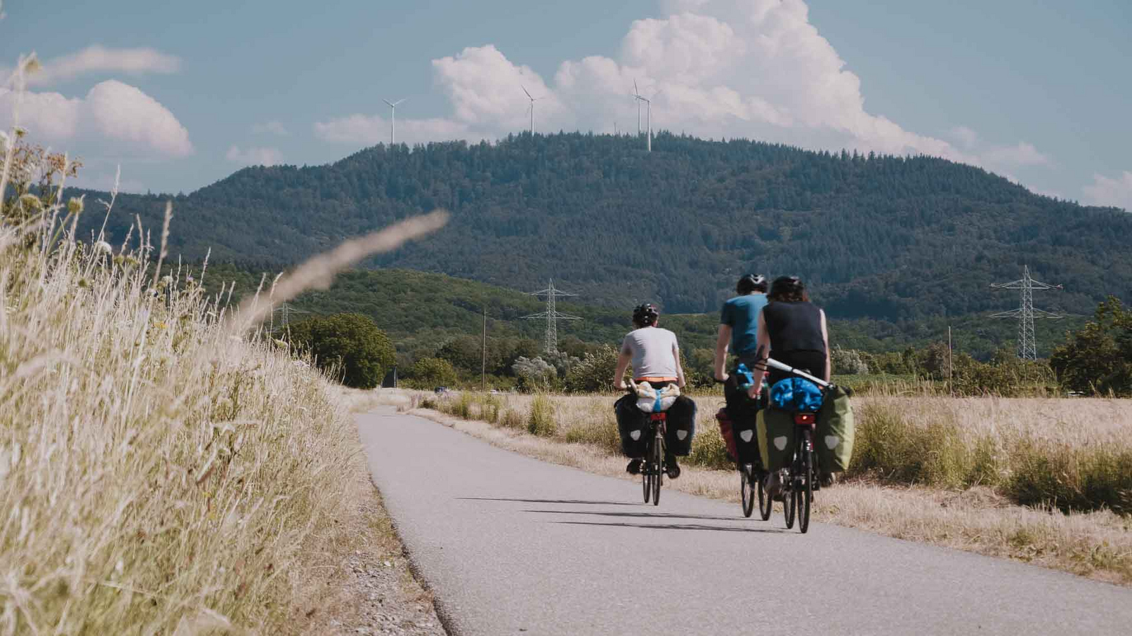 Filmteam auf radelt auf Landstraße durch Kornfelder im Hintergrund ein Schwarzwaldberg.